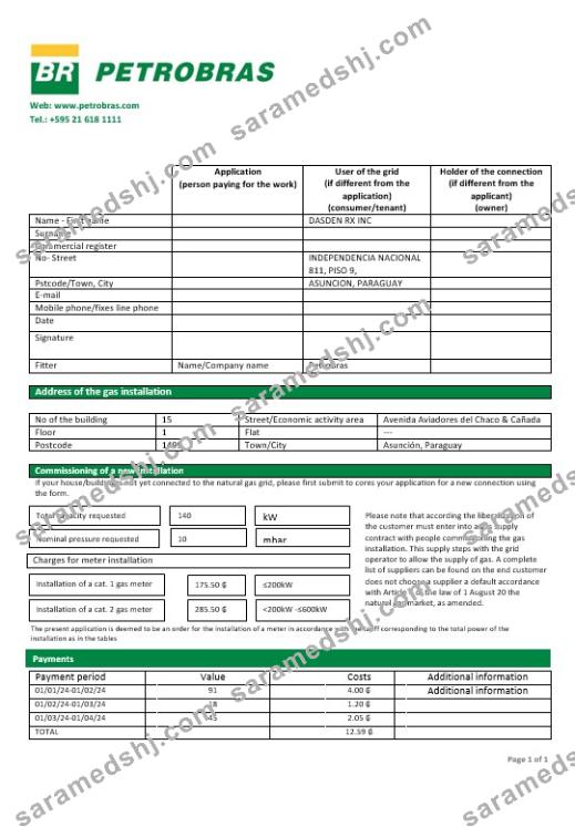 Paraguay Petrobras Paraguay Operations and Logistics gas company business utility bill template in Word and PDF formats